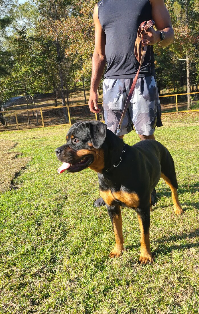 Winter Vom Blaurasen, SE