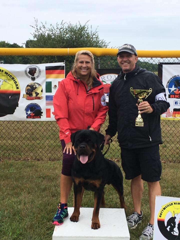 CH Quay Vom Blaurasen ZtP, BH, BSE