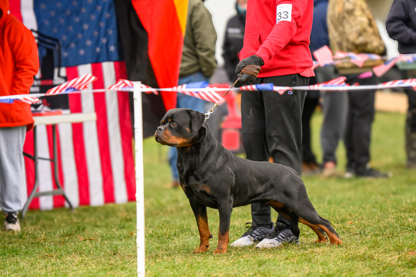 Lenox Junior Montagna