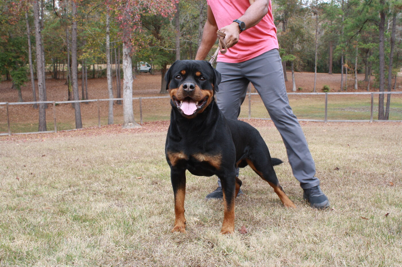 DeMaximus Von Der Quinn, BSE (Max)