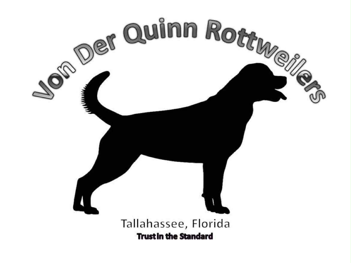 Von Der Quinn Rottweilers