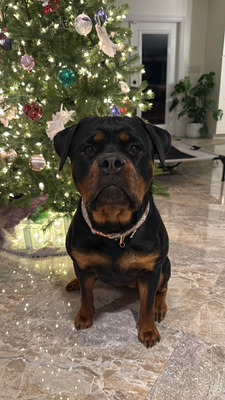 Maddie Von Der Quinn