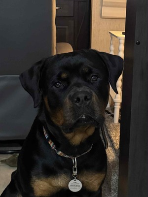 Maximus Von Der Quinn