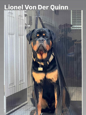 Lionel Von Der Quinn