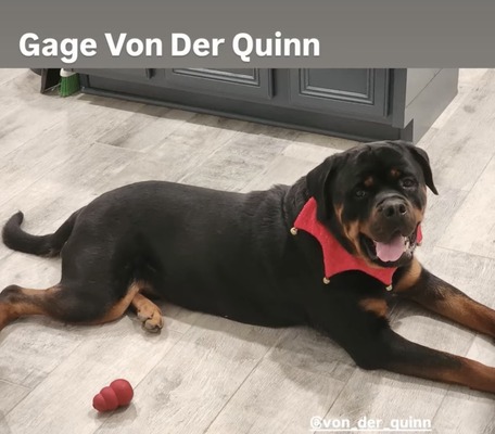Gage Von Der Quinn