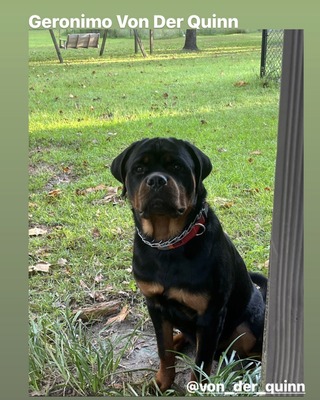 Geronimo Von Der Quinn