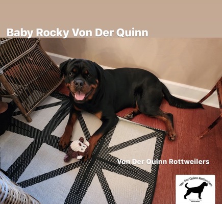 Baby Von Der Quinn