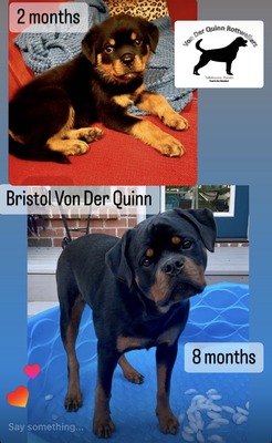 Bristol Von Der Quinn