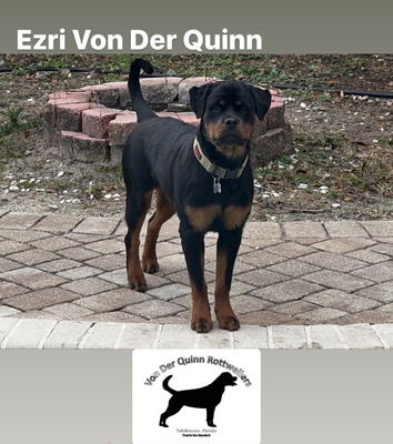 Ezri Von Der Quinn