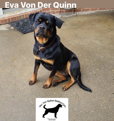 Eva Von Der Quinn