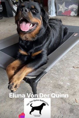 E'luna Von Der Quinn