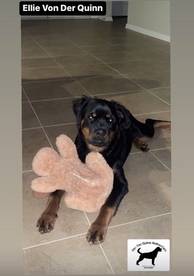 Ellie Von Der Quinn