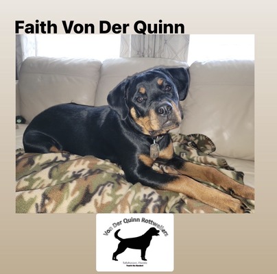 Faith Von Der Quinn