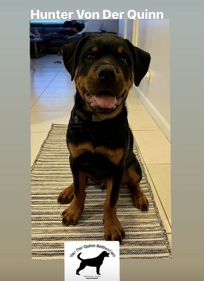 Hunter Von Der Quinn