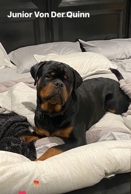 Junior Von Der Quinn