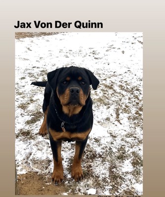 Jax Von Der Quinn