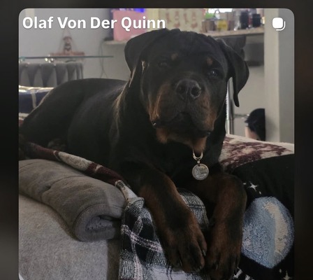 Olaf Von Der Quinn