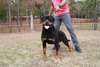 DeMaximus Von Der Quinn, BSE (Max)