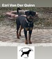 Ezri Von Der Quinn