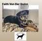 Faith Von Der Quinn